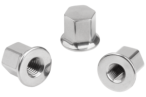 Stainless steel cap nuts with collar for Hygienic USIT® seal and shim washers Stainless steel cap nuts with collar for Hygienic USIT® seal and shim washers