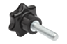 Bouton étoile similaire à DIN 6336, insert en inox, forme L avec filetage