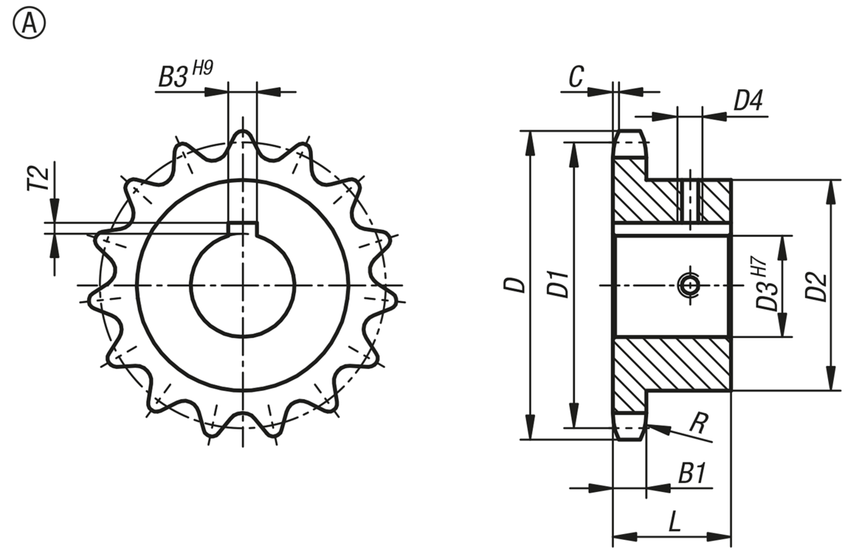 Pignons simples 1/2“ x 5/16“ DIN ISO 606, prêts à monter forme A