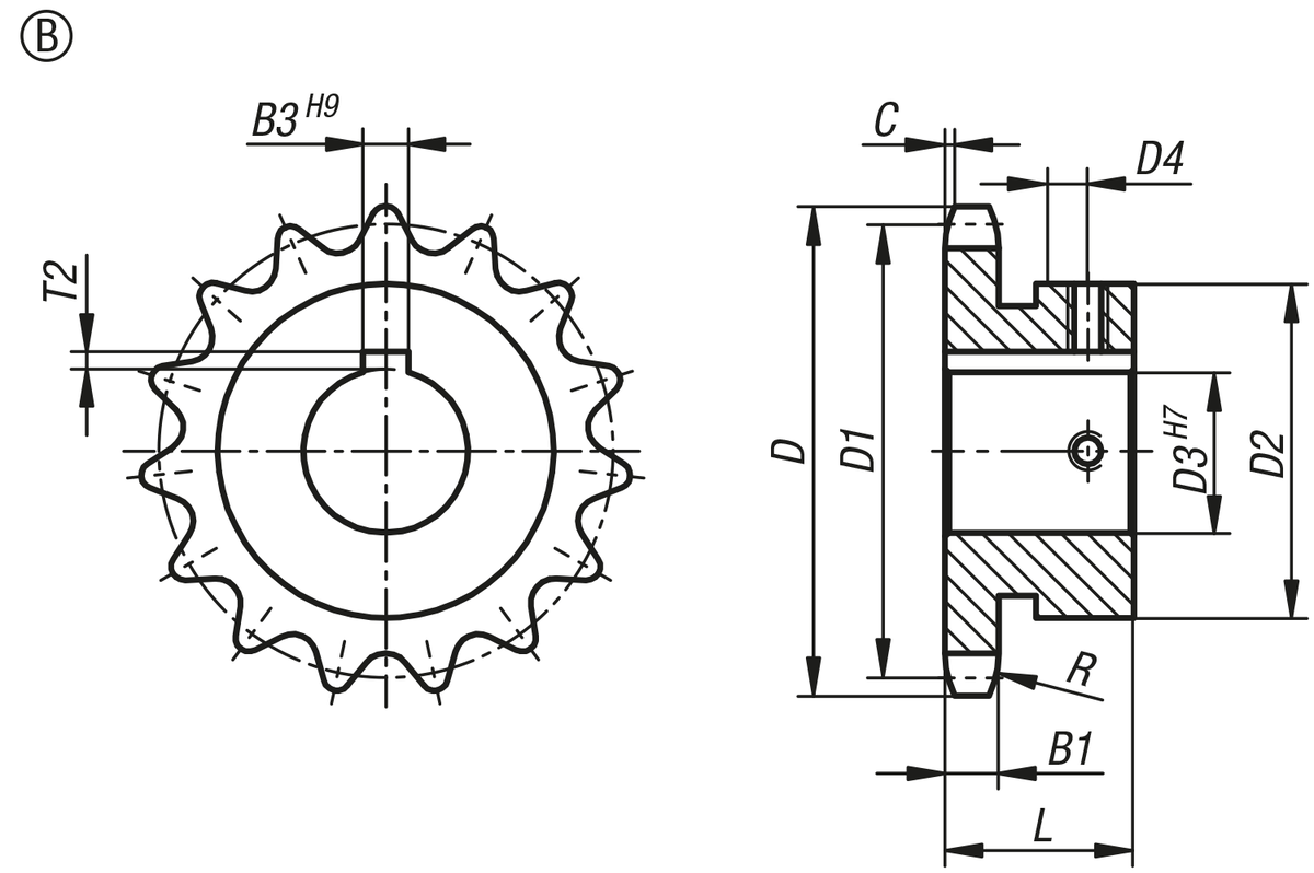 Pignons simples 3/8“ x 7/32“ DIN ISO 606, prêts à monter forme B