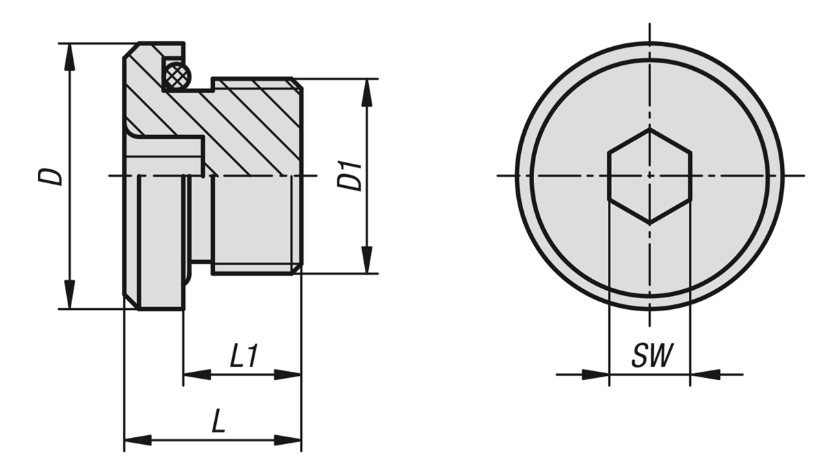 Tornillos tapón con hexágono interior